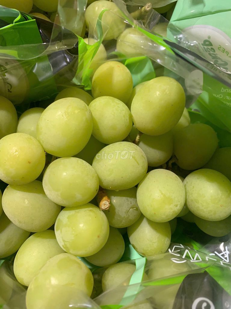 Nho xanh Fruitico Autumn Crips. Mua bán Đồ ăn, thực phẩm và các loại khác tại Quận Tân Phú Tp Hồ Chí Minh được đăng bởi Trái Cây Nhập Khẩu Tân Phú hình 1