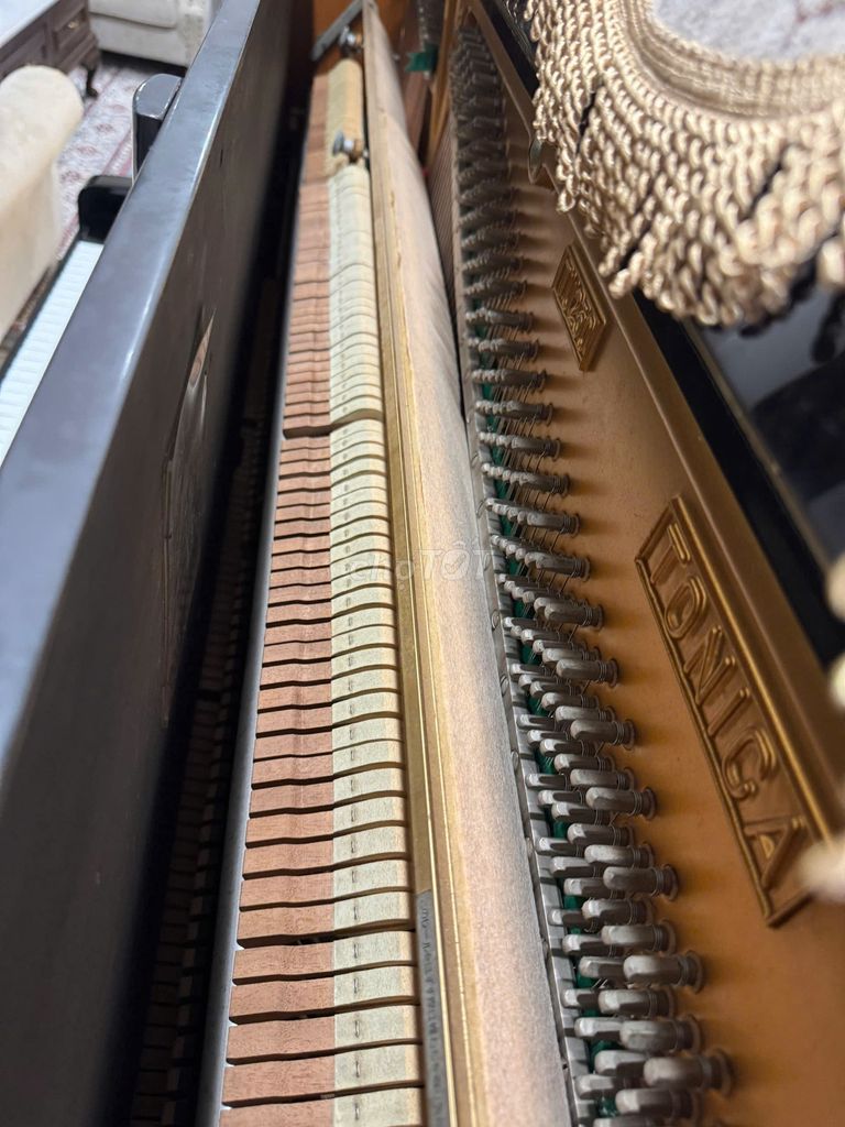 Đàn piano cơ Tonica Đen Đã sử dụng. Mua bán Nhạc cụ tại Quận Hoàng Mai Hà Nội được đăng bởi Khánh Trung hình 1