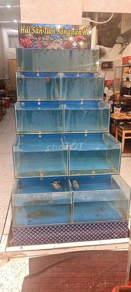 Hồ hải sản Kính đầy đủ máy bơm. Mua bán Phụ kiện, Thức ăn, Dịch vụ tại Quận 10 Tp Hồ Chí Minh được đăng bởi Quỳnh Anh hình 1