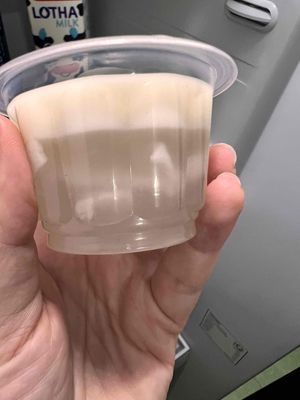 RAU CÂU DỪA GIẢI NHIỆT. Mua bán Đồ ăn, thực phẩm và các loại khác tại Quận Gò Vấp Tp Hồ Chí Minh được đăng bởi Van Pham