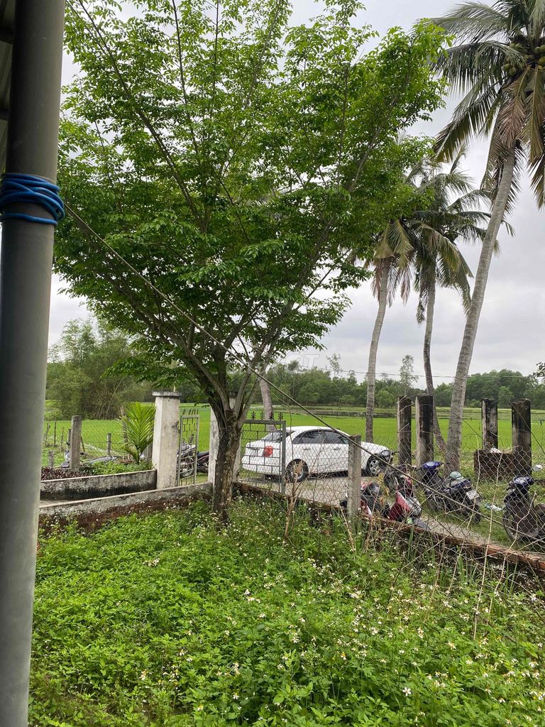 Daewoo Lacetti 2004 - 150000 km. Mua bán Ô tô tại Huyện Núi Thành Quảng Nam được đăng bởi Minh hình 4