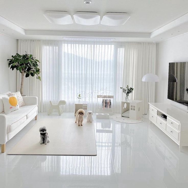 Cho thuê căn hộ chung cư quận tây hồ. 70m2. 2pn. full Đồ.Vào Ở Ngay.