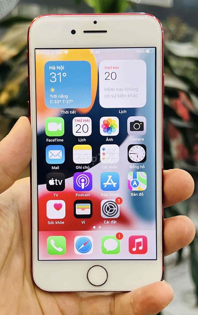 Em Pass iPhone 7 128GB Đỏ 100%. Mua bán Điện thoại tại Quận Đống Đa Hà Nội được đăng bởi Thế Hoàng hình 1