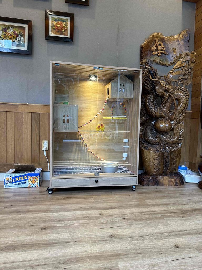 Cặp cute. Mua bán Chim tại Quận Hải Châu Đà Nẵng được đăng bởi Mẫn hình 1