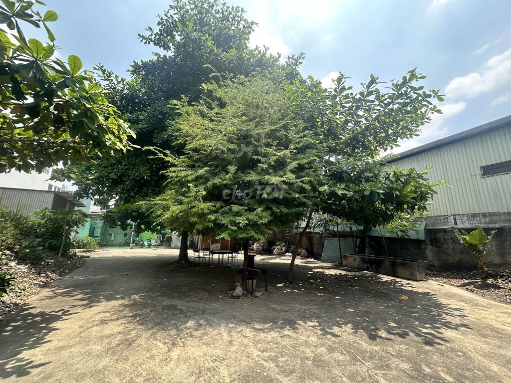 Cho thuê đất trống 1000m2 tại Tân Phú