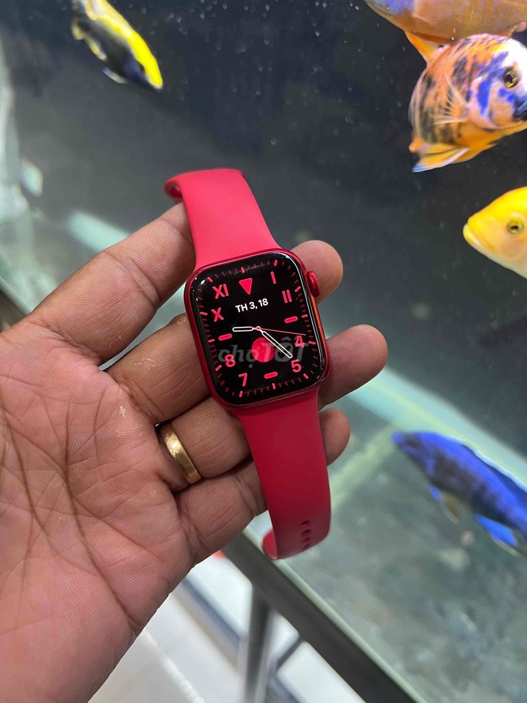 seri 8 red 41mm đẹp full phụ kiện zin