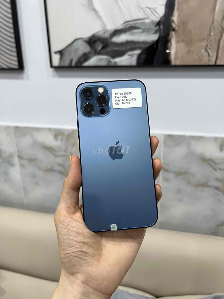 Apple iPhone 12 Pro 256GB Xanh Dương Pin New. Mua bán Điện thoại tại Huyện Hóc Môn Tp Hồ Chí Minh được đăng bởi SIRI STORE HCM hình 1
