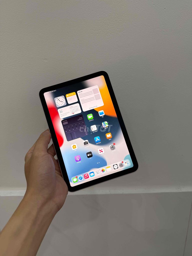 Apple iPad Mini 6 64GB Wifi Hồng. Mua bán Máy tính bảng tại Quận 12 Tp Hồ Chí Minh được đăng bởi Đình Tuấn hình 1