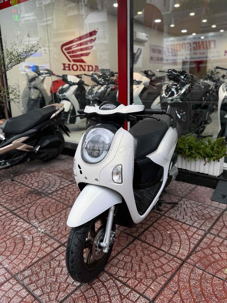 Honda Scoopy 2025 белый 2000км