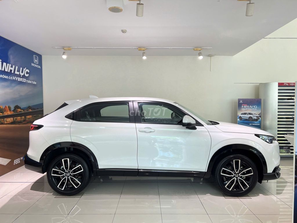 Ảnh số 2