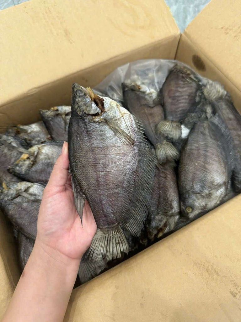 Cá khô Cà Mau 3 nắng dẻo 8-9 con/kg. Mua bán Đồ ăn, thực phẩm và các loại khác tại Quận 4 Tp Hồ Chí Minh được đăng bởi NGUYEN HOANG GROUPS hình 1
