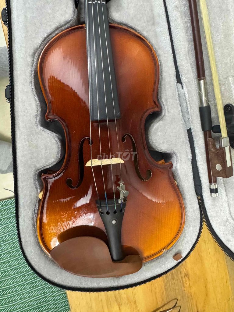 đàn violin