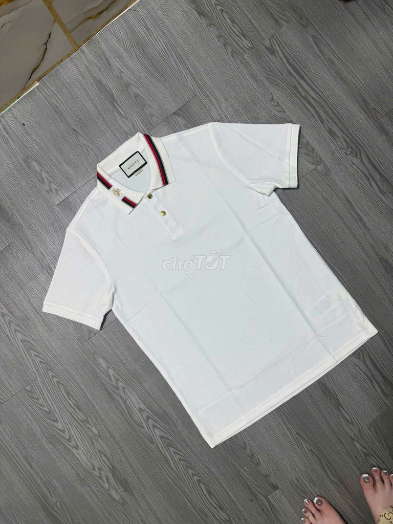 Áo polo nam Gucci vải cao cấp. Mua bán Quần áo tại Huyện Phú Tân Cà Mau được đăng bởi Hiệu Si Tuyển hình 1