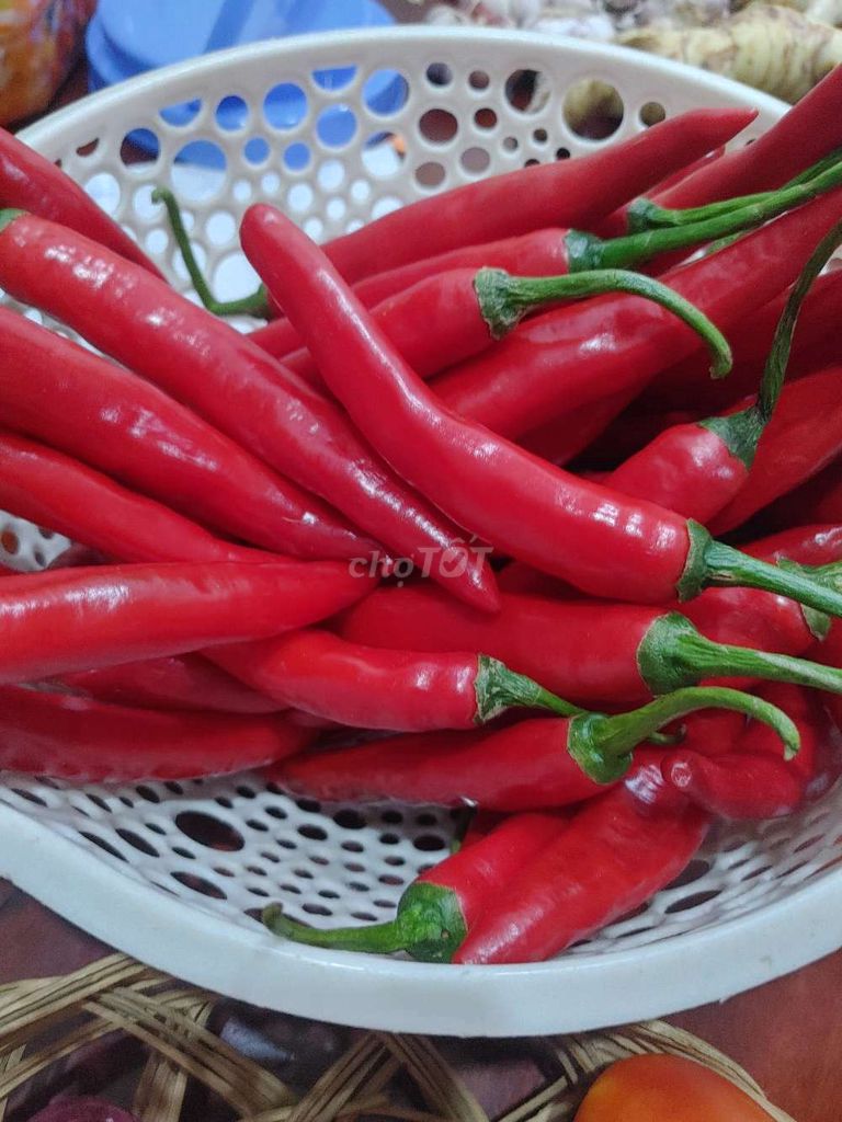 Kim chi cải thảo, dưa giá. Mua bán Đồ ăn, thực phẩm và các loại khác tại Quận 1 Tp Hồ Chí Minh được đăng bởi Dung hình 6