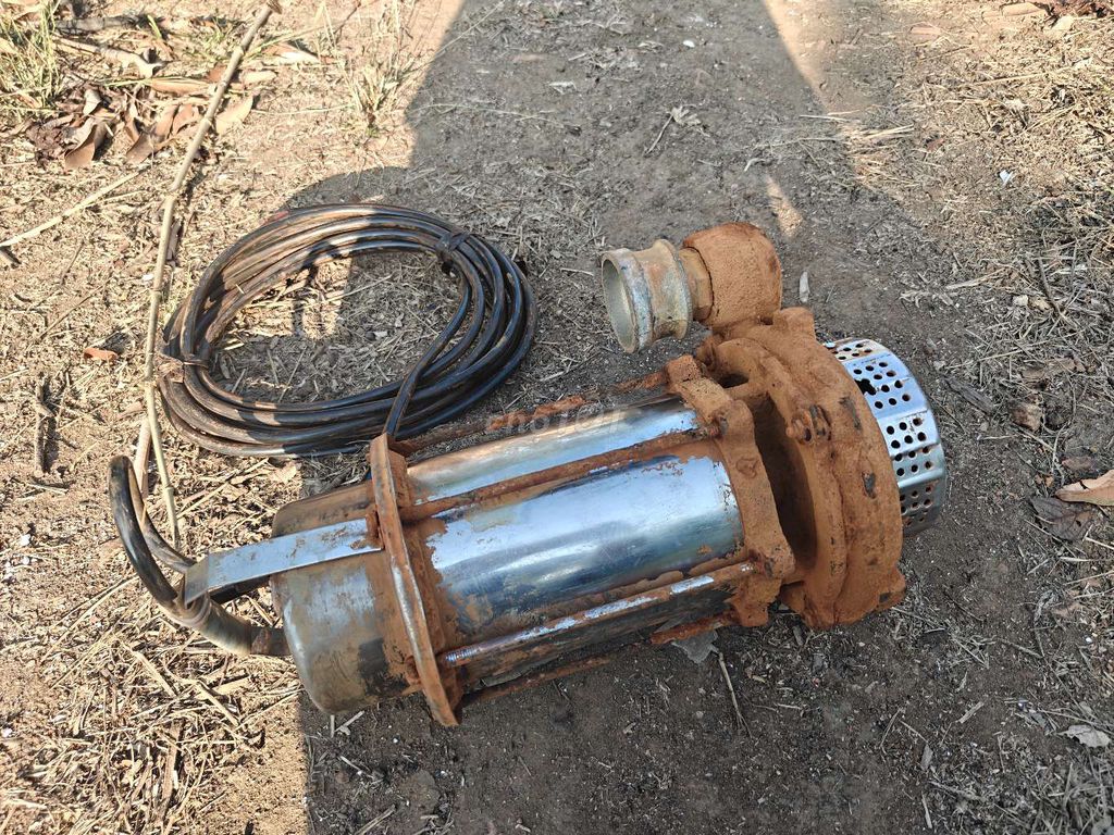 Bơm chìm 1.5hp Kim loại. Mua bán Đồ chuyên dụng, Giống nuôi trồng tại Huyện Ea Kar Đắk Lắk được đăng bởi Hiền hình 1