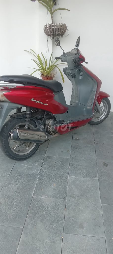 Vua tay ga Dylan ông hoàng một thời. Mua bán Xe máy tại Thành phố Nha Trang Khánh Hòa được đăng bởi Phước Đức Lộc hình 1