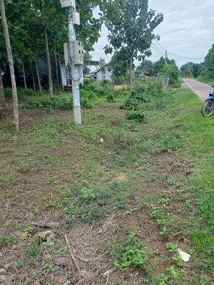 Tôi cần bán lô đất mặt tiền đường bê tông. Mua bán đất tại Huyện Krông Nô Đắk Nông được đăng bởi tphcm