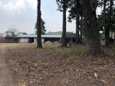 Cho thuê 5.000m² đất có nhà Văn phòng và Xưởng kế bên KDL Suối Tiên.