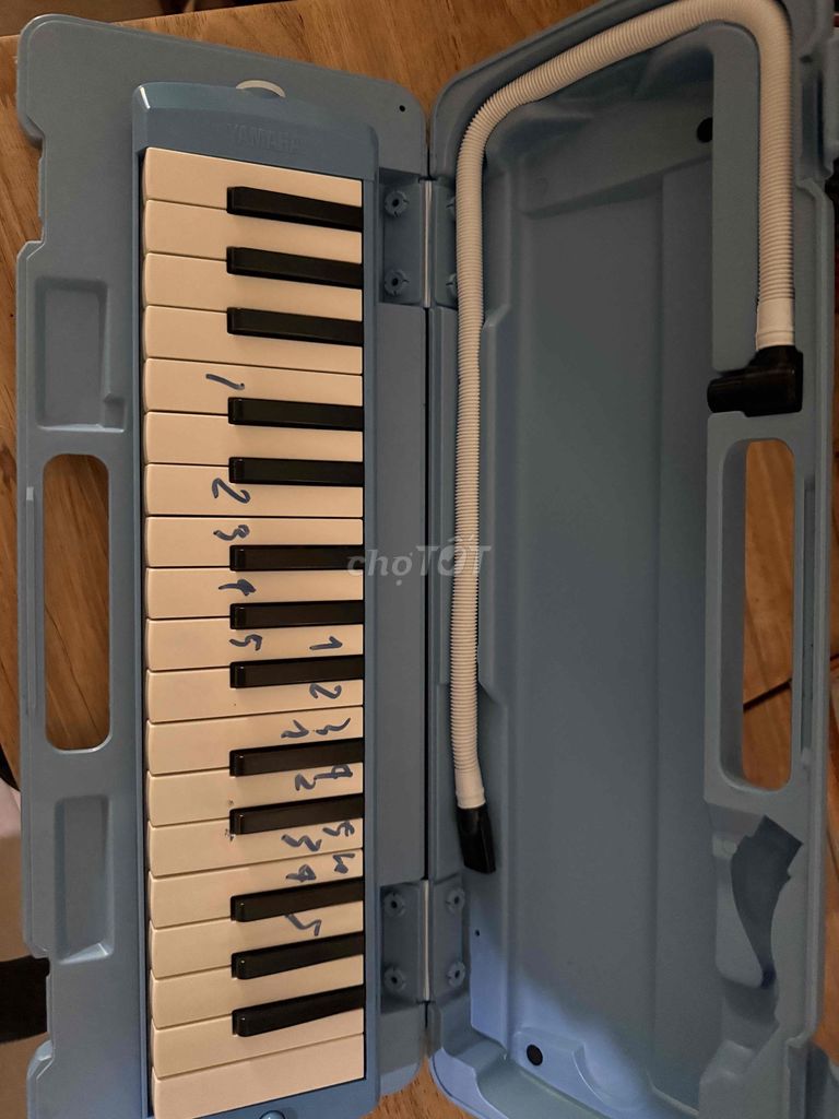 Đàn Pianica Yamaha Xanh nhạt cho học sinh. Mua bán Nhạc cụ tại Quận Ngũ Hành Sơn Đà Nẵng được đăng bởi HOANG THU hình 1