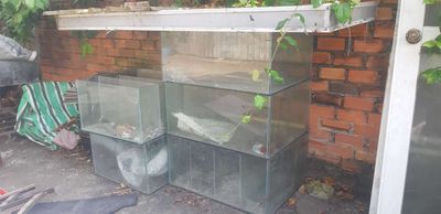 Hồ cá kính. Mua bán Phụ kiện, Thức ăn, Dịch vụ tại Thành phố Thuận An Bình Dương được đăng bởi nguyên  thanh hung