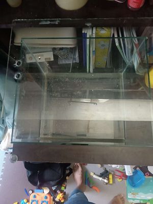 Cá Lóc Kiểng. Mua bán Thú cưng khác tại Quận Bình Thạnh Tp Hồ Chí Minh được đăng bởi Mít Tơ Huy