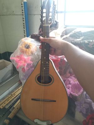 Đàn mandolin ( măn đô lin)