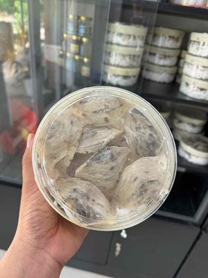 yến sào nhà nuôi giá rẻ. Mua bán Đồ ăn, thực phẩm và các loại khác tại Thành phố Biên Hòa Đồng Nai được đăng bởi Hà Hường