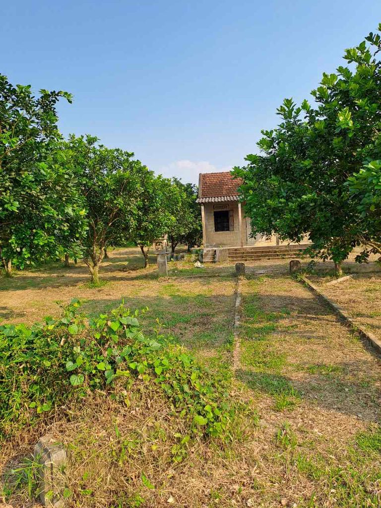 Bán đát làm trang trại, nhà vườn tại Phong Thu