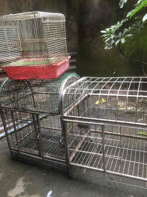 Lồng nuôi thú cưng kim loại màu bạc. Mua bán Phụ kiện, Thức ăn, Dịch vụ tại Quận Hoàng Mai Hà Nội được đăng bởi Linh Nam