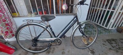 Xe đạp bãi Marukin như hình