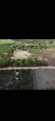 đất cln cách bmt 10km, mặt đường bê tông 12m. Mua bán đất tại Huyện Buôn Đôn Đắk Lắk được đăng bởi quocanh