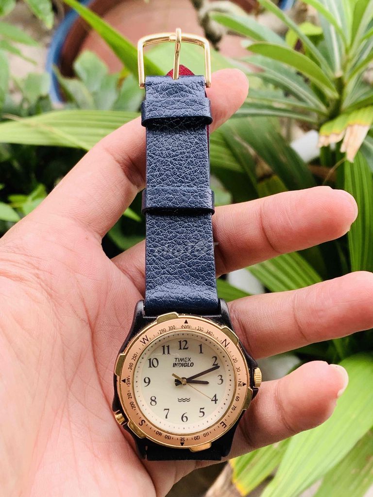 Đồng hồ pin Timex