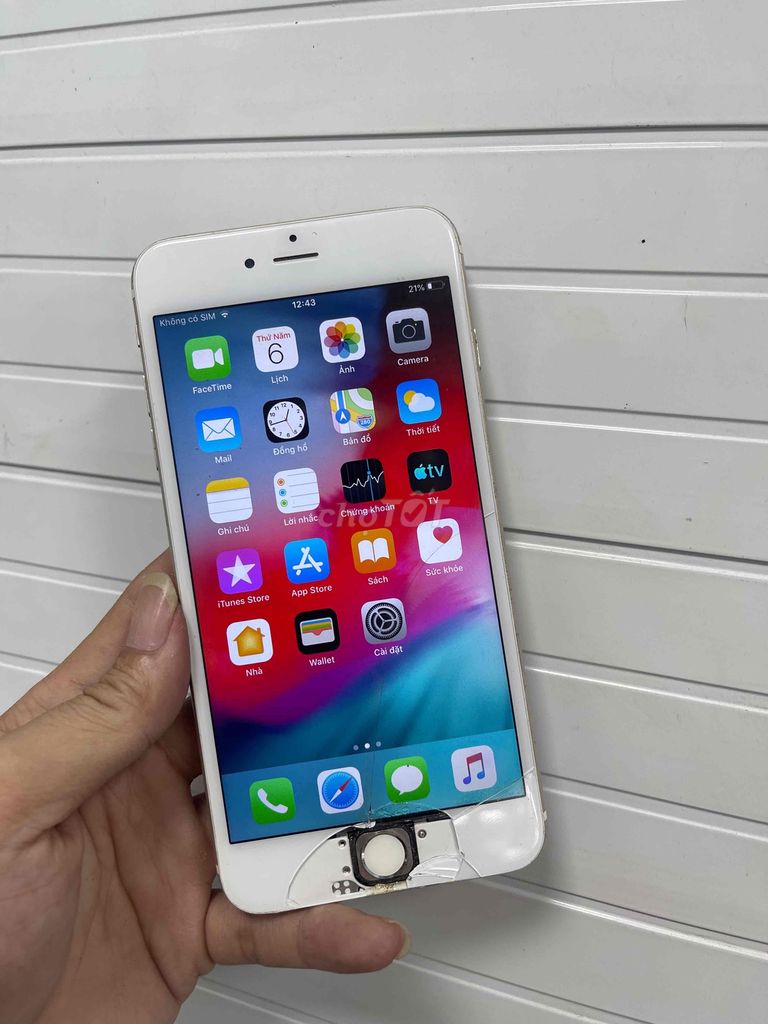 6plus mvt ghe gôi tốt