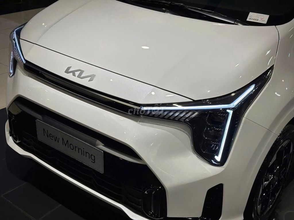 Kia Morning 2025 - NEW MORNING MỚI GIÁ TỐT. Mua bán Ô tô tại Quận Gò Vấp Tp Hồ Chí Minh được đăng bởi Phụng KIA MAZDA GÒ VẤP hình 7