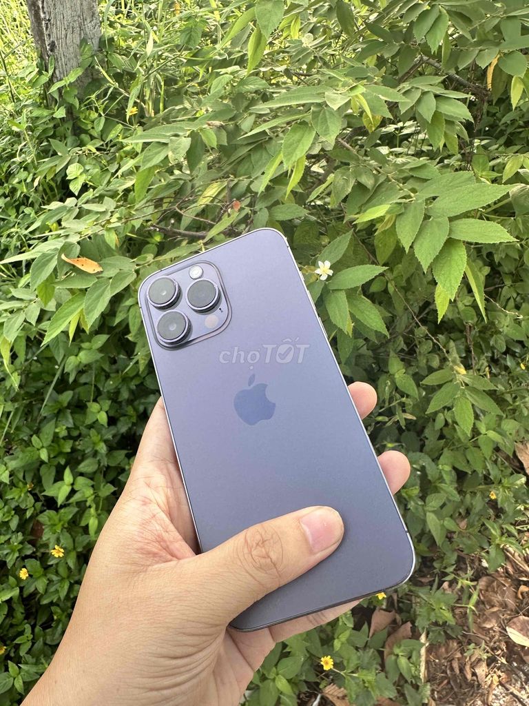 Bán 14Prm Tím 128gb Full Zin Áp Quốc Tế🍏. Mua bán Điện thoại tại Thành phố Sa Đéc Đồng Tháp được đăng bởi Tâm hình 1
