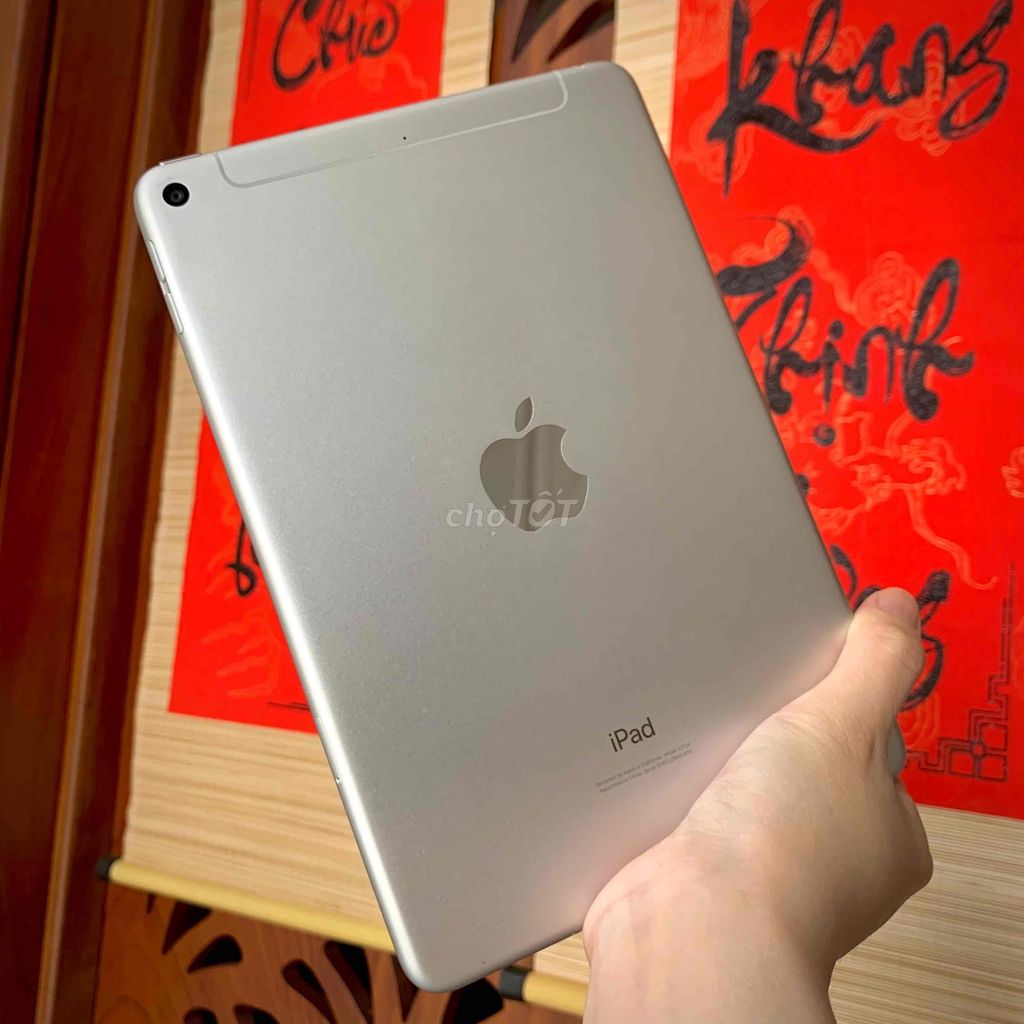 💥iPad Mini 5 64gb 5G wifi zinall đẹp keng✨