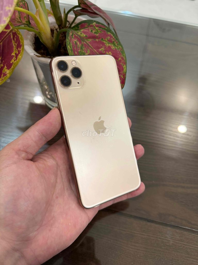 Iphone 11 Pro Max 512G