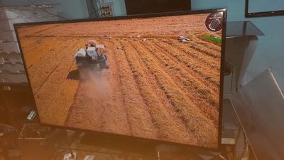 Tivi 48in smart samsung. Mua bán Tivi, Âm thanh tại Huyện Châu Thành Tiền Giang được đăng bởi trongduy