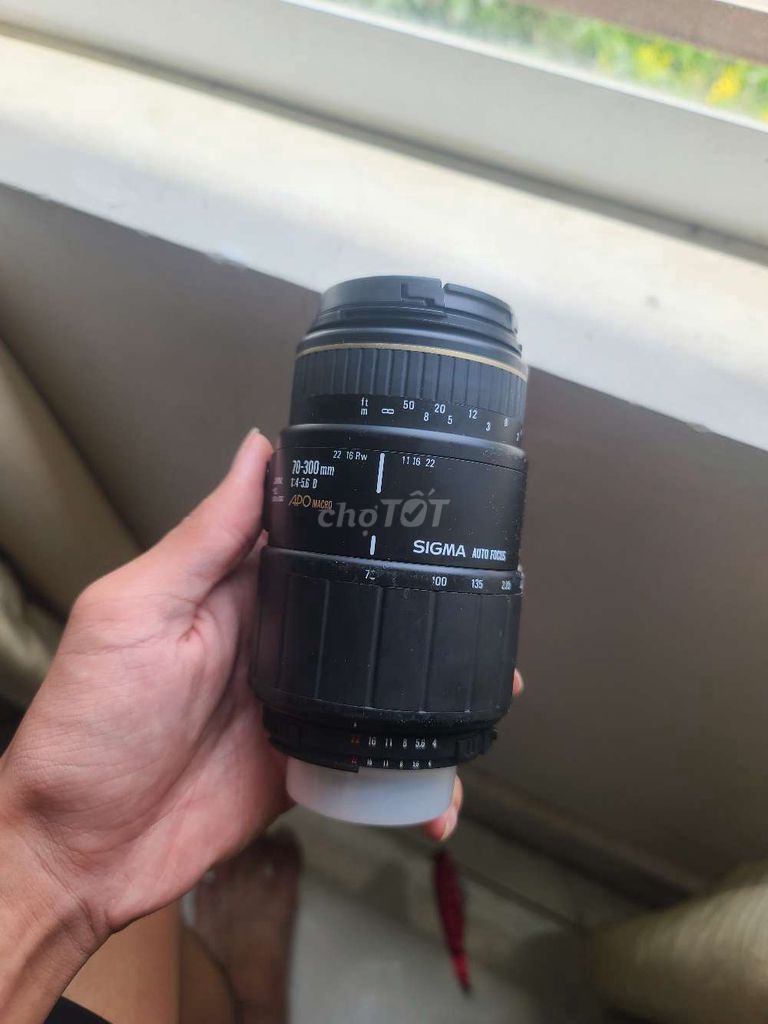 Ống kính Sigma 70-300 Macro APO Nikon Đã sử dụng. Mua bán Máy ảnh, Máy quay tại Quận Hải An Hải Phòng được đăng bởi Trần Tú hình 1