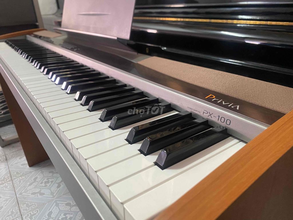 Đàn Piano điện Casio PX110