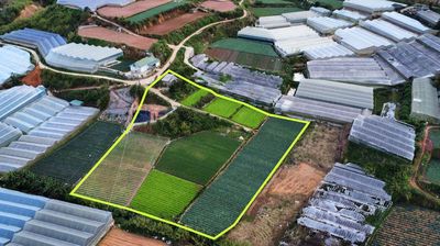 8 lô đất nông nghiệp diện tích 600-1600m2 tại phường 5 Đà Lạt SHR