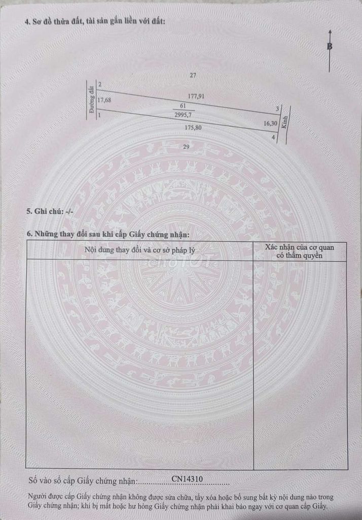 Đât trồng lúa