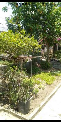 100m2 nhà nguyên căn giá sinh viên, có sân vườn, điều hoà. Cho thuê nhà ở tại Quận Liên Chiểu Đà Nẵng được đăng bởi THU PHUONG