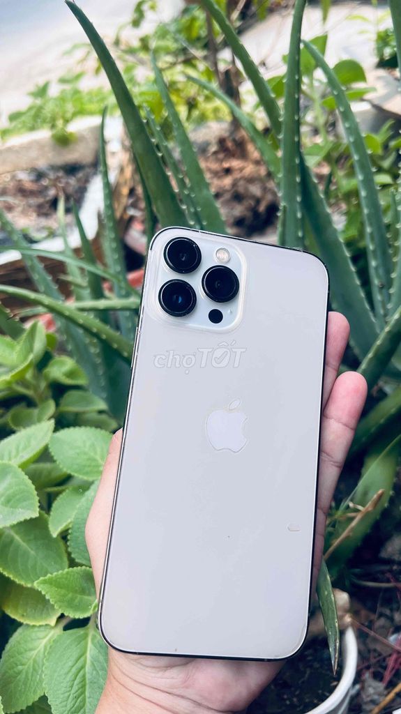 13 Pro Max 256GB full zin , màn đóm nhẹ góc.. Mua bán Điện thoại tại Thành phố Cao Lãnh Đồng Tháp được đăng bởi Thành hình 1