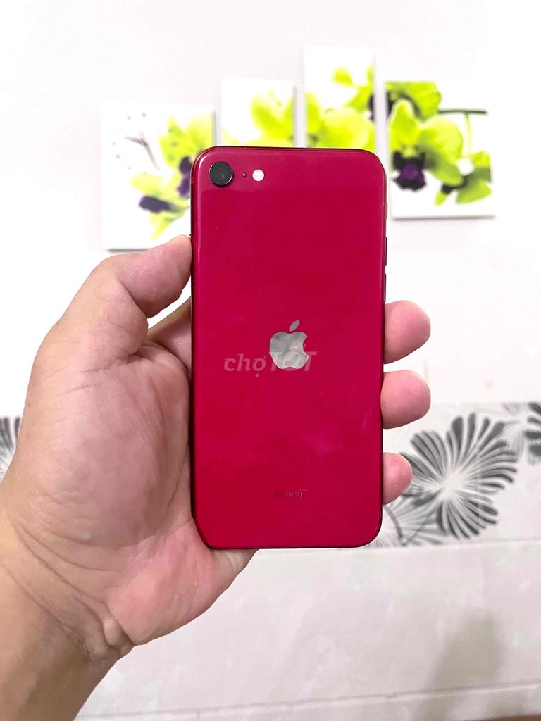 Apple iPhone SE 2020 quốc tế 64GB Đỏ Zin Full CN. Mua bán Điện thoại tại Thành phố Thủ Dầu Một Bình Dương được đăng bởi Đăng Store hình 1