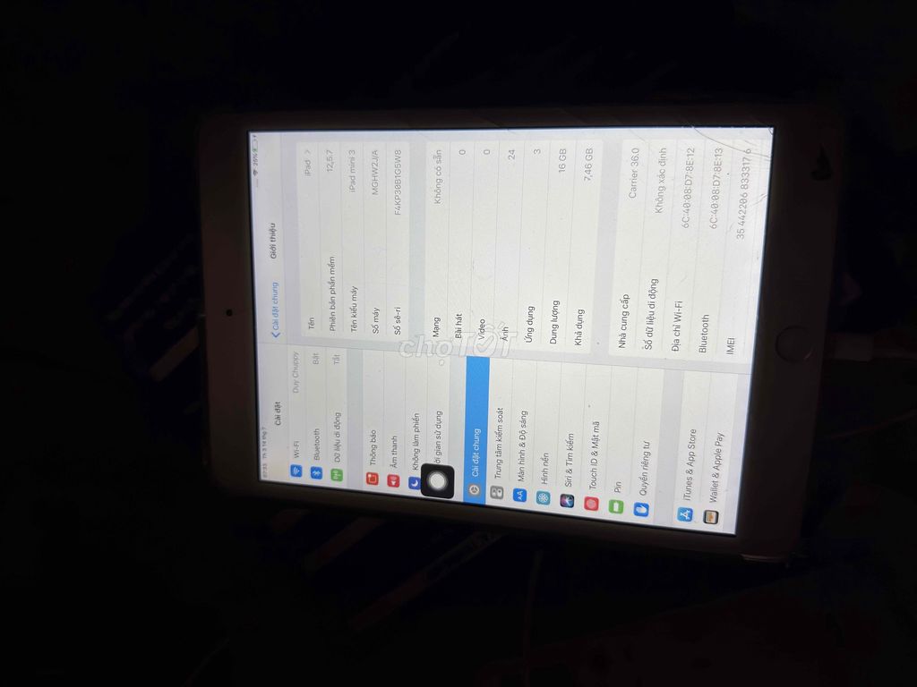 Apple iPad mini 3 Vàng hồng 16GB Đã qua sử dụng. Mua bán Máy tính bảng tại Thành phố Thủ Đức Tp Hồ Chí Minh được đăng bởi Triệu Duy hình 1