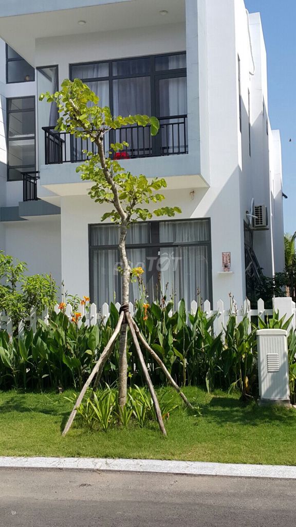 Villa mini 2tầng,view hồ bơi,khu phức hợp.SHR