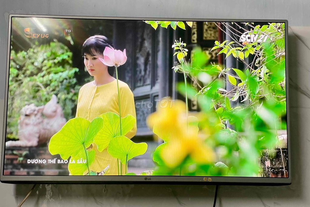 TIVI LED 43inch LG Hình Ảnh Đẹp