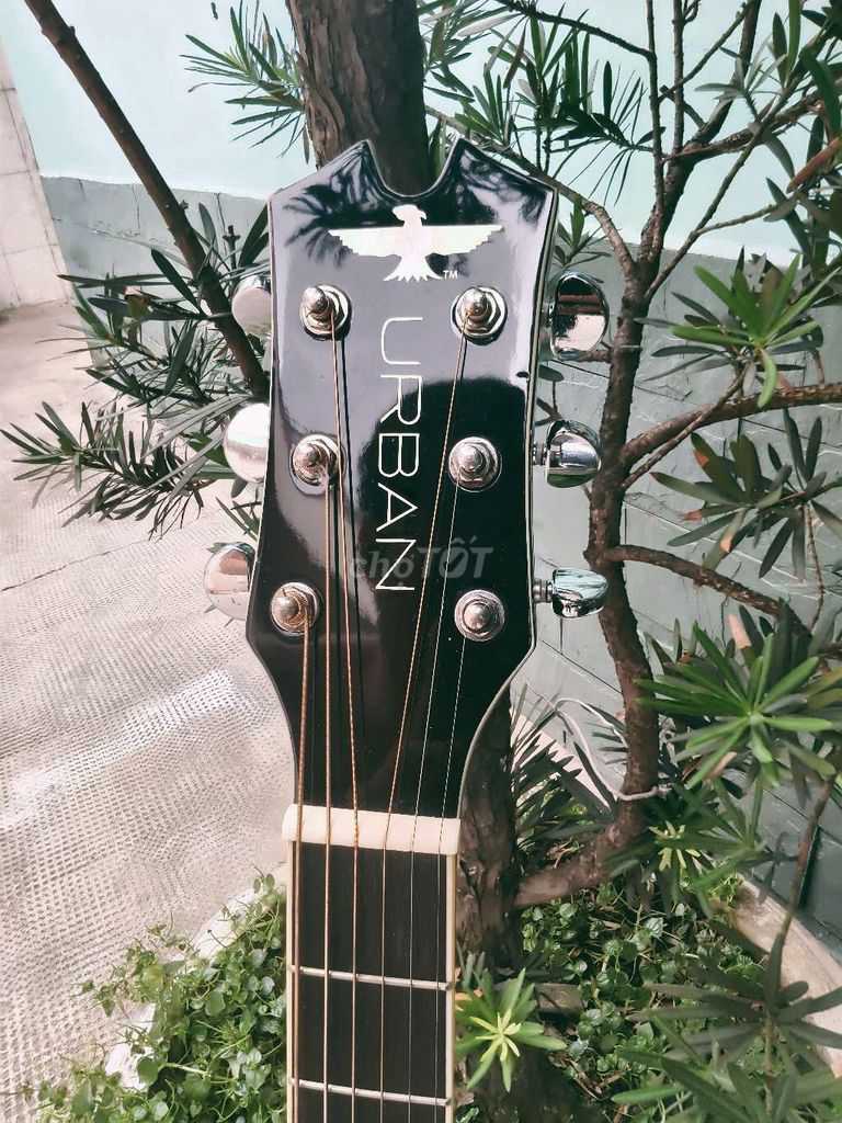 Đàn guitar Urban The Phoenix Collection Đen. Mua bán Nhạc cụ tại Thành phố Thủ Đức Tp Hồ Chí Minh được đăng bởi Dean hình 1