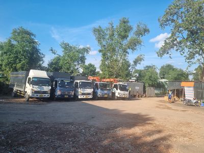 Vận Tải Lâm Sang 